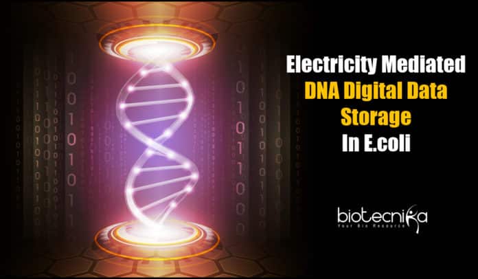 DNA Digital Data Storage