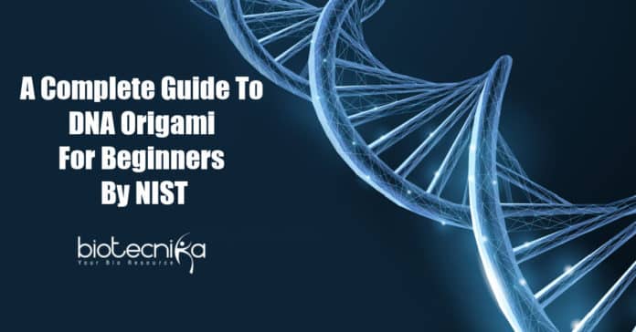 Complete Guide to DNA Origami for Beginners