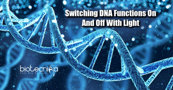 Switch DNA functions