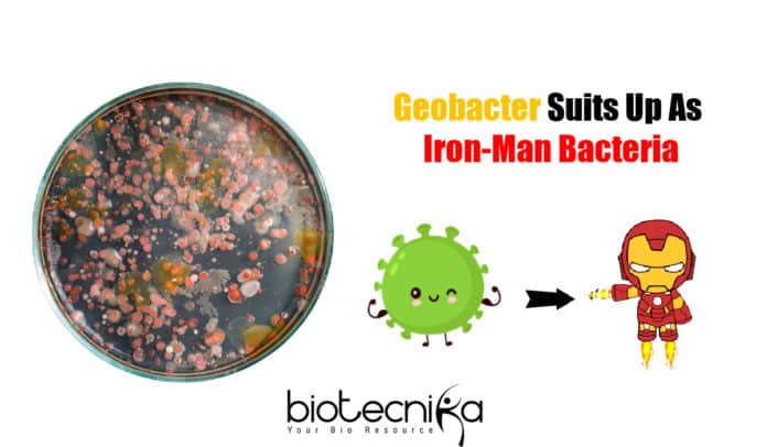 Iron Man Bacteria