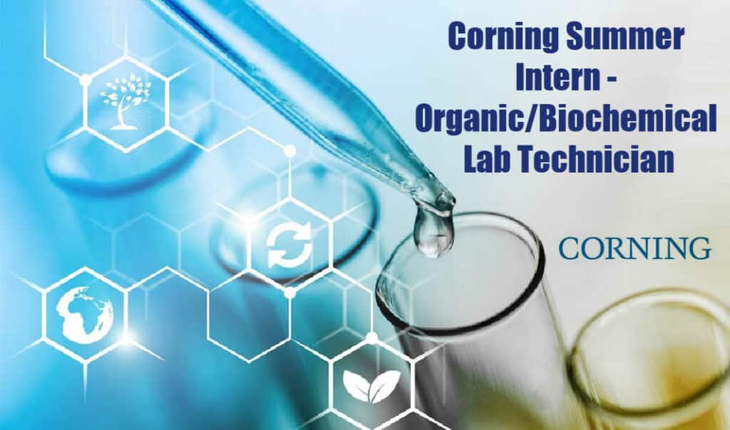 Corning Summer Intern Organic/Biochemical Lab Technician