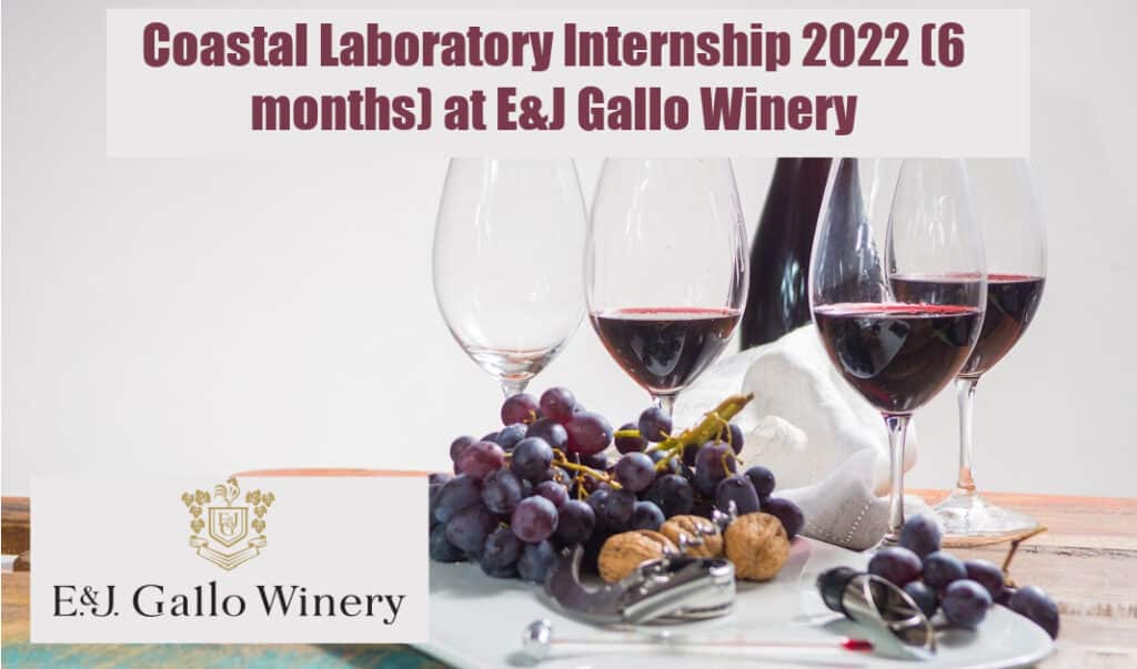 Coastal Laboratory Internship 2022 (6 months) at E&J Gallo Winery