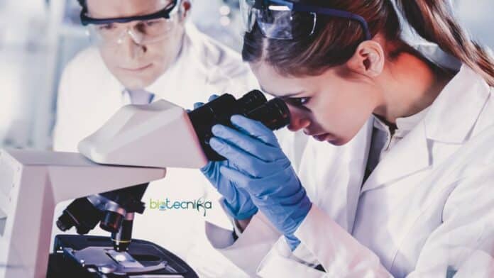 Medicxi Unveils Game-Changing $400M Fund to Revolutionize Life Sciences Companies
