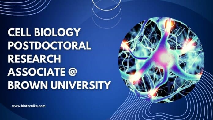 Cell Biology Postdoctoral Research Associate @ Brown University