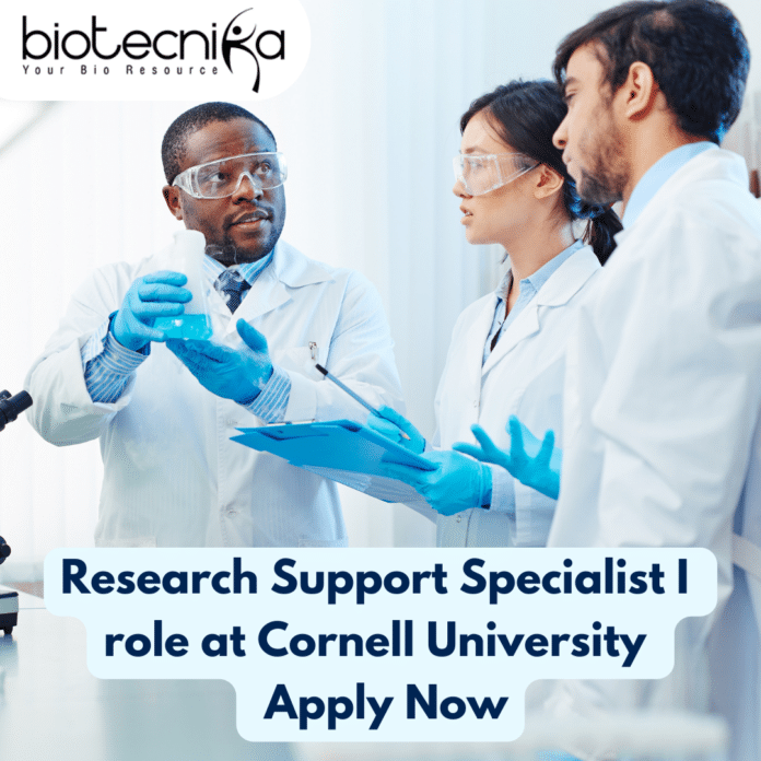 research support specialist jobs