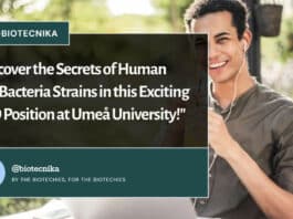 "Uncover the Secrets of Human Gut Bacteria Strains in this Exciting PhD Position at Umeå University!"